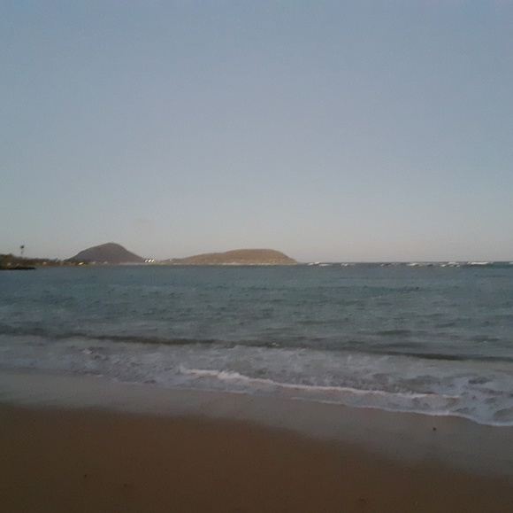 Meet your Posher, Dolly - Picture 1 of 1